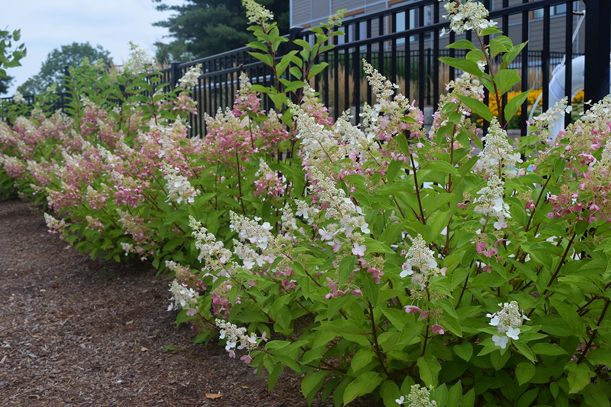 reduce stormwater runoff