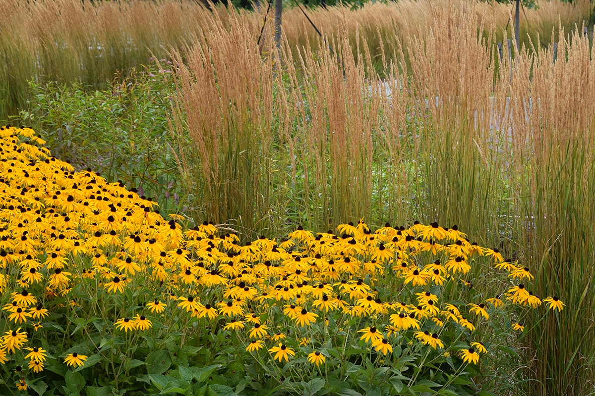 reduce stormwater runoff