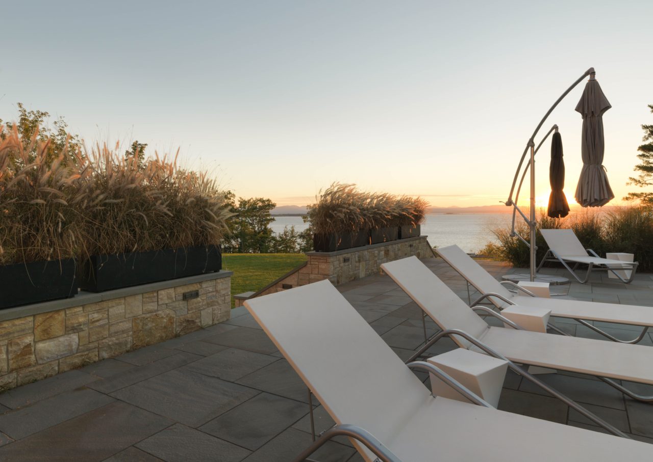 Designed Backyard