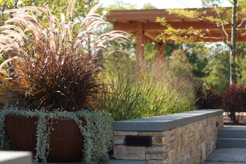 Commercial Planting - di Stefano Landscaping