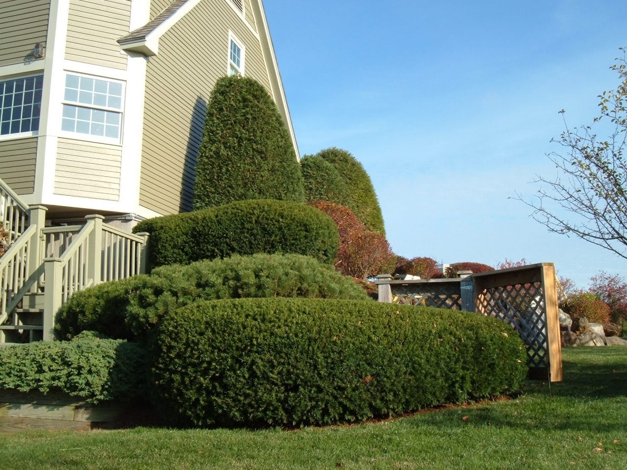 Residential Landscape Maintenance